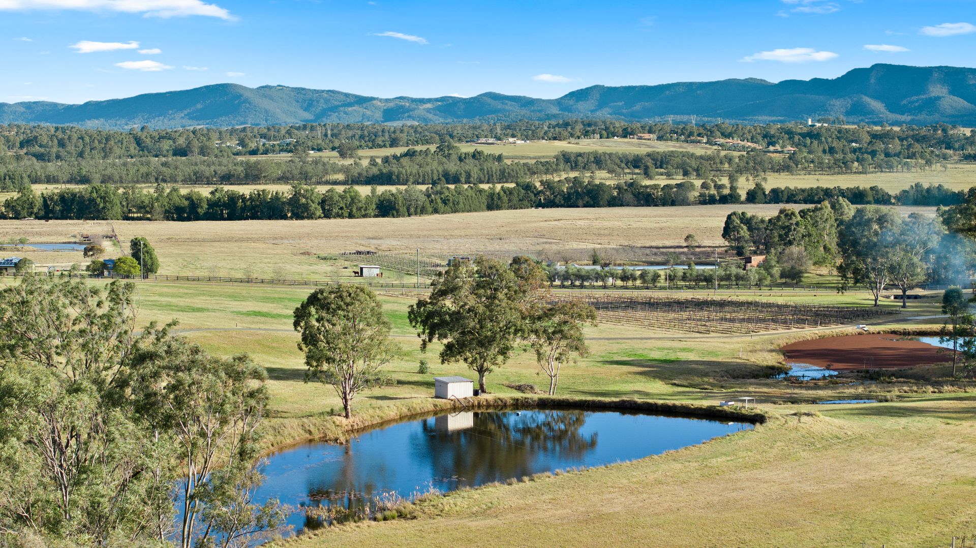 Molly Morgan Vineyard Lovedale Breakaway Villas