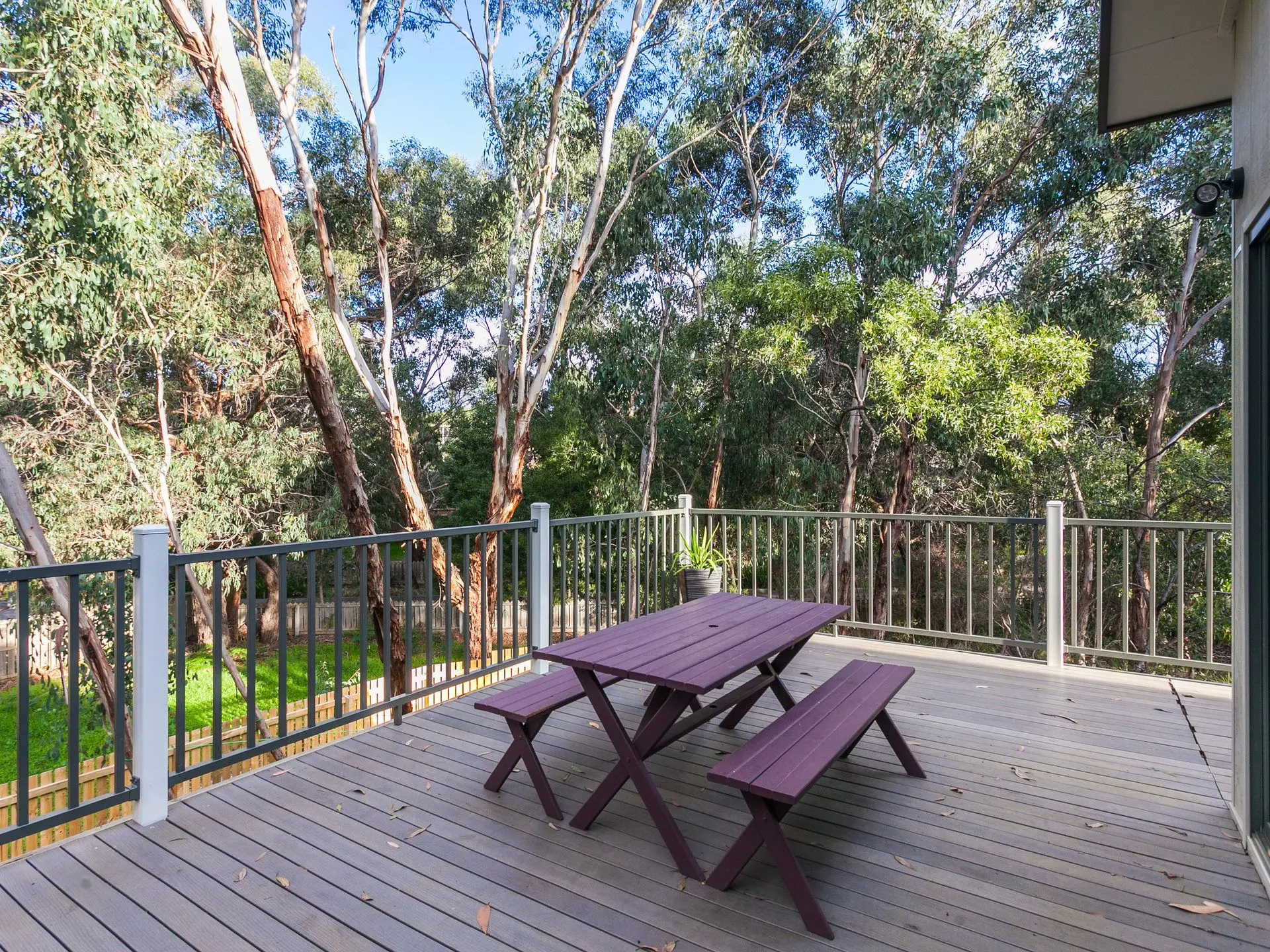 Bush Surrounds On Weir