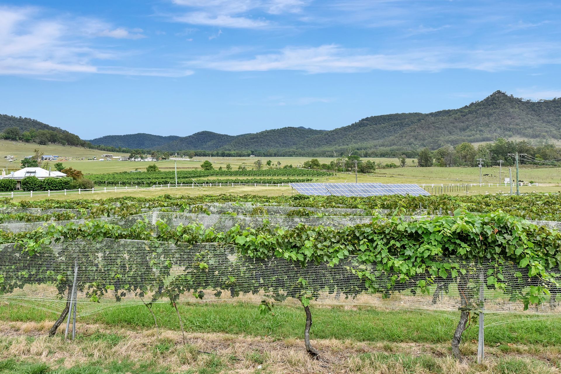 Somerville Wines Farmstay in Broke, super cute house on working farm. Walk for miles.