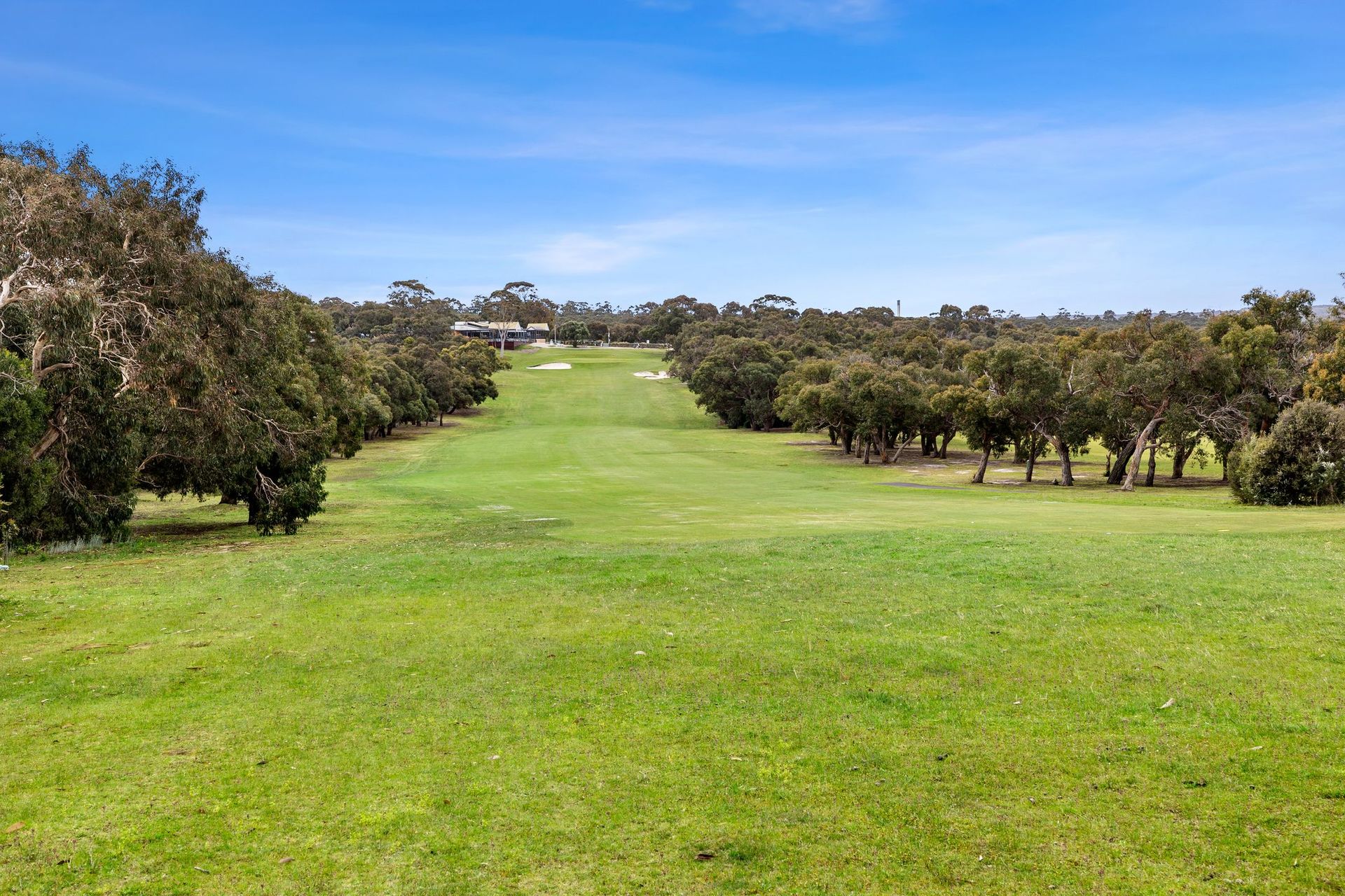 Fairway Dreams