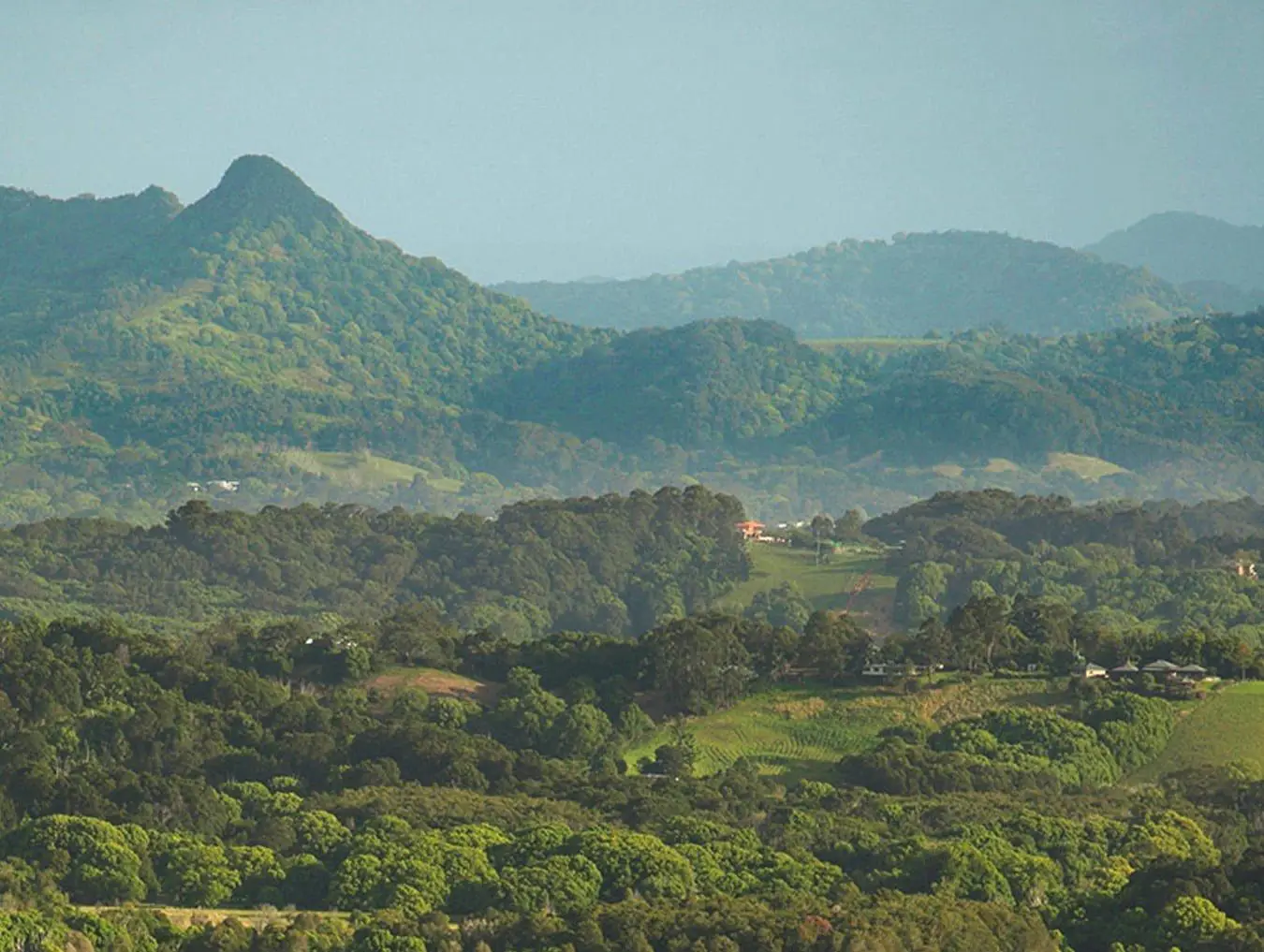 Byron Bay Hinterland