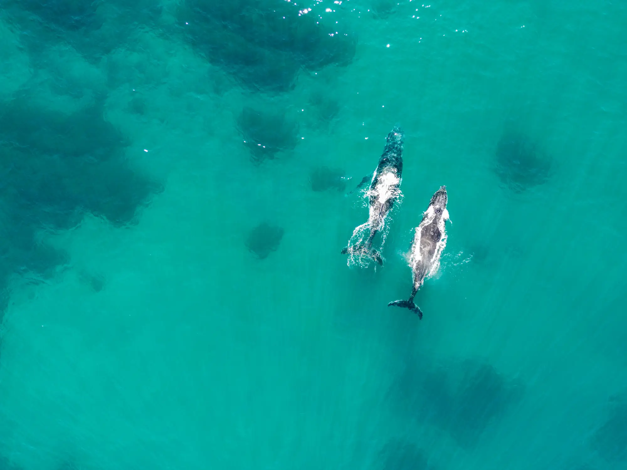 Byron Bay Whale Watching - Alloggio