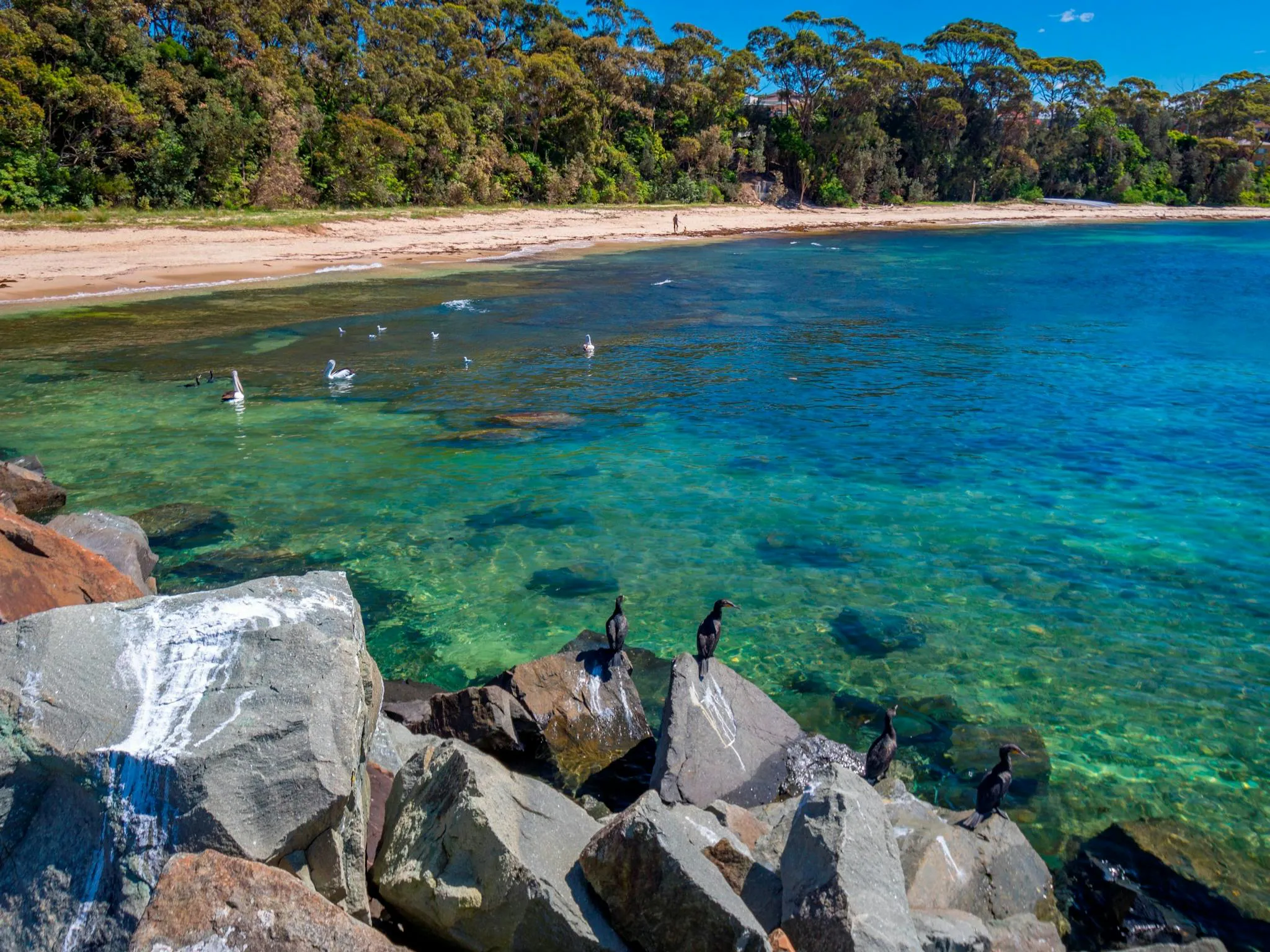 Discover Ulladulla Harbour - Alloggio
