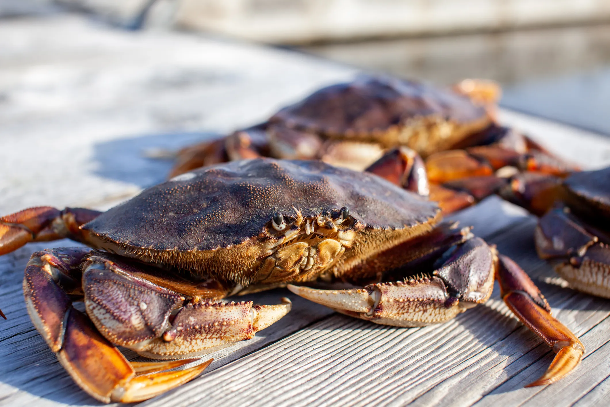 Enjoy Fresh Seafood - Alloggio