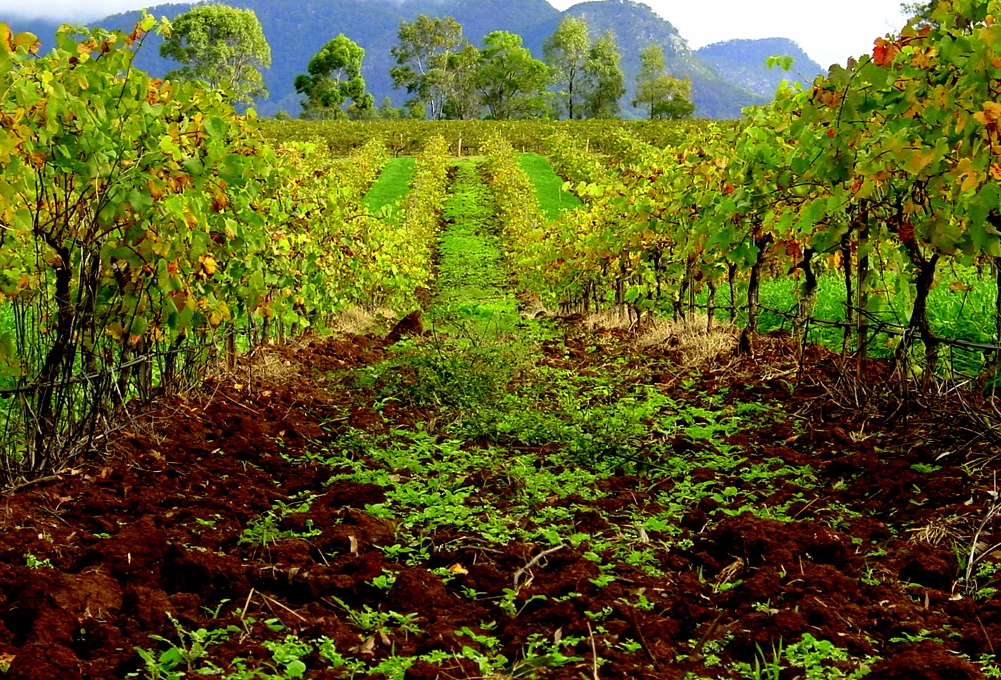 Explore Countryside - Alloggio