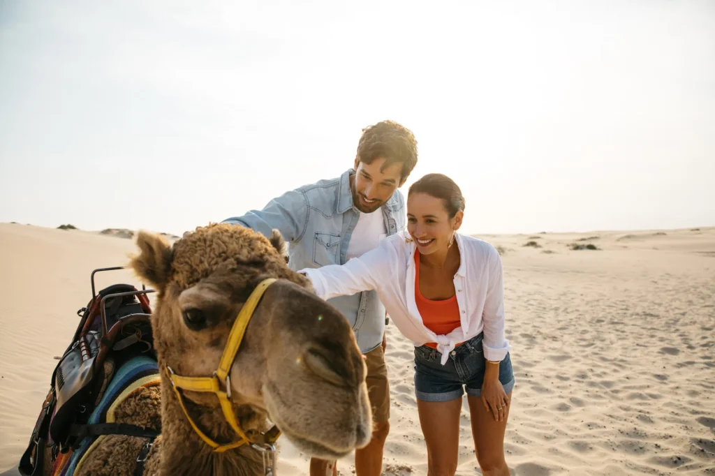Go on a camel safari in Port Stephens - New South Wales | Alloggio