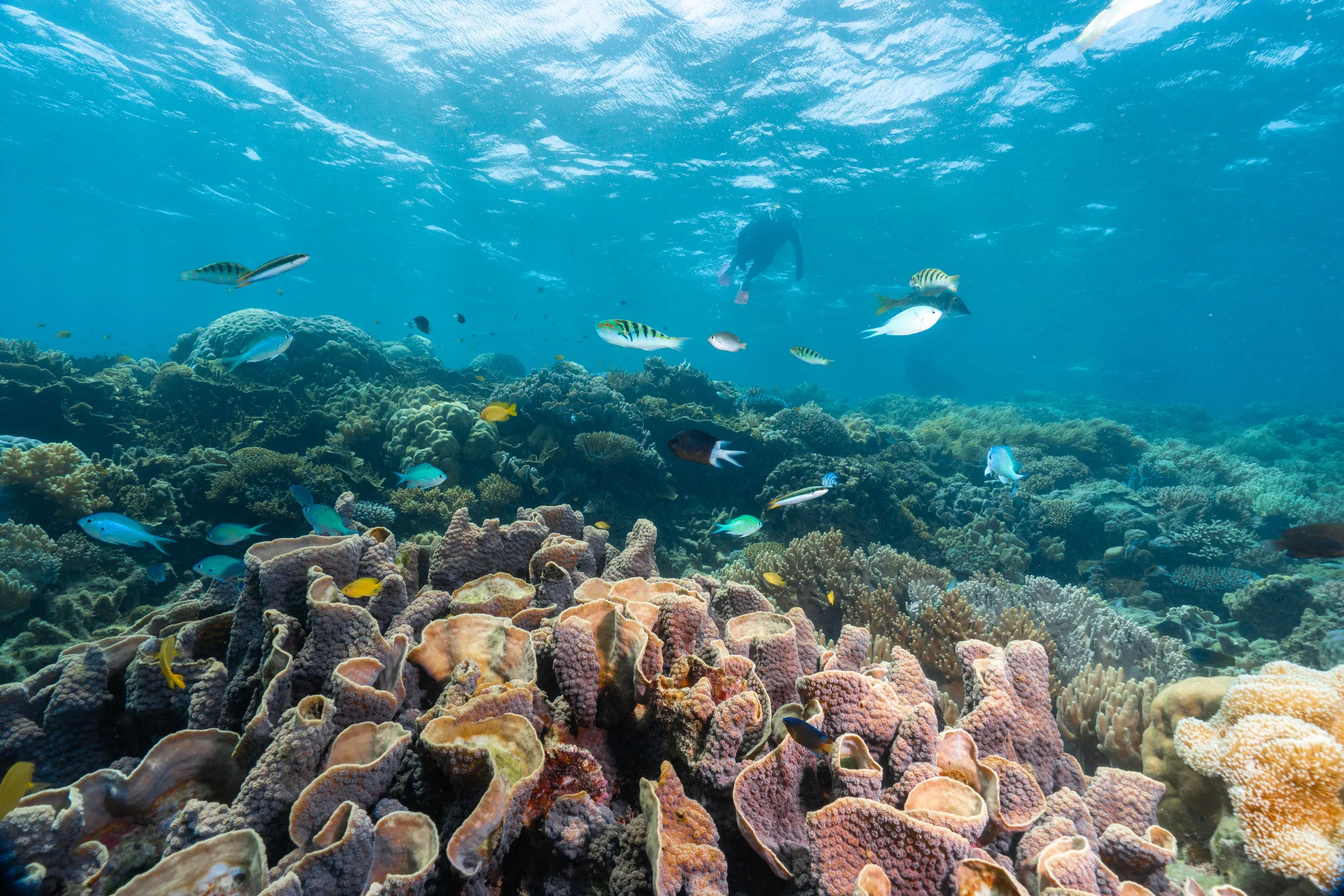 Marine Adventures - Alloggio