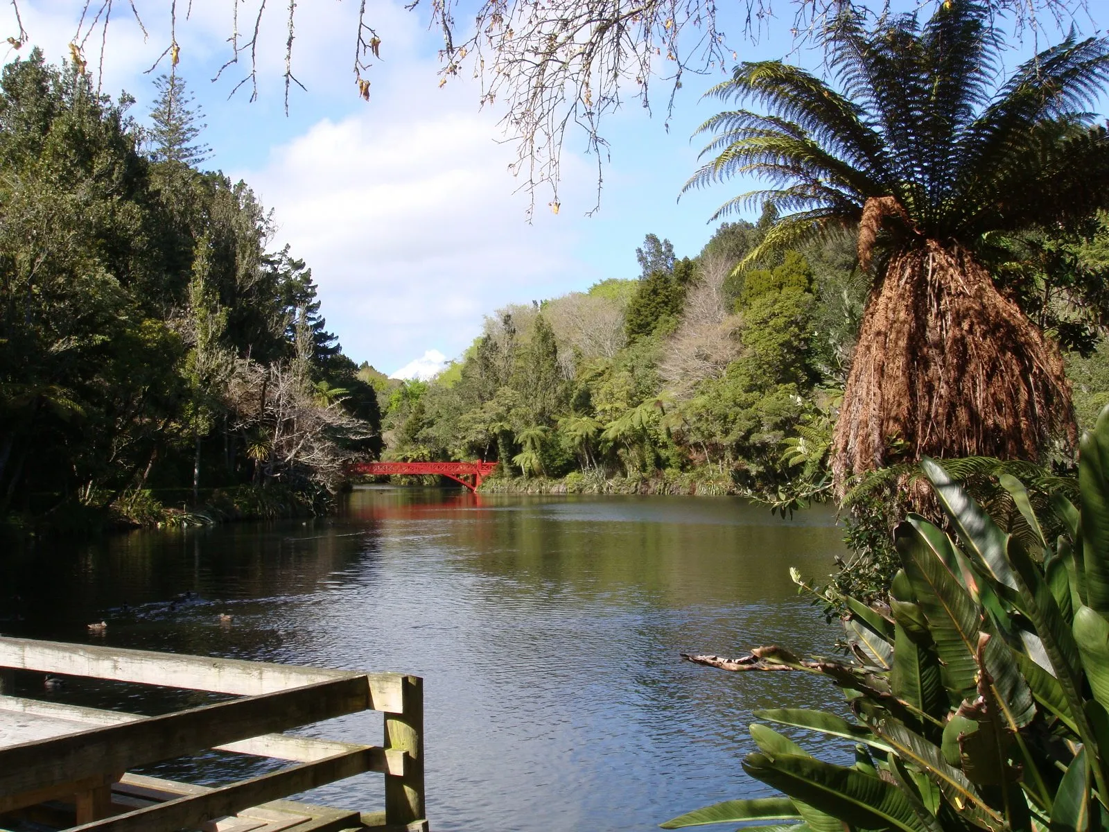 Relax in Pukekura Park - Alloggio