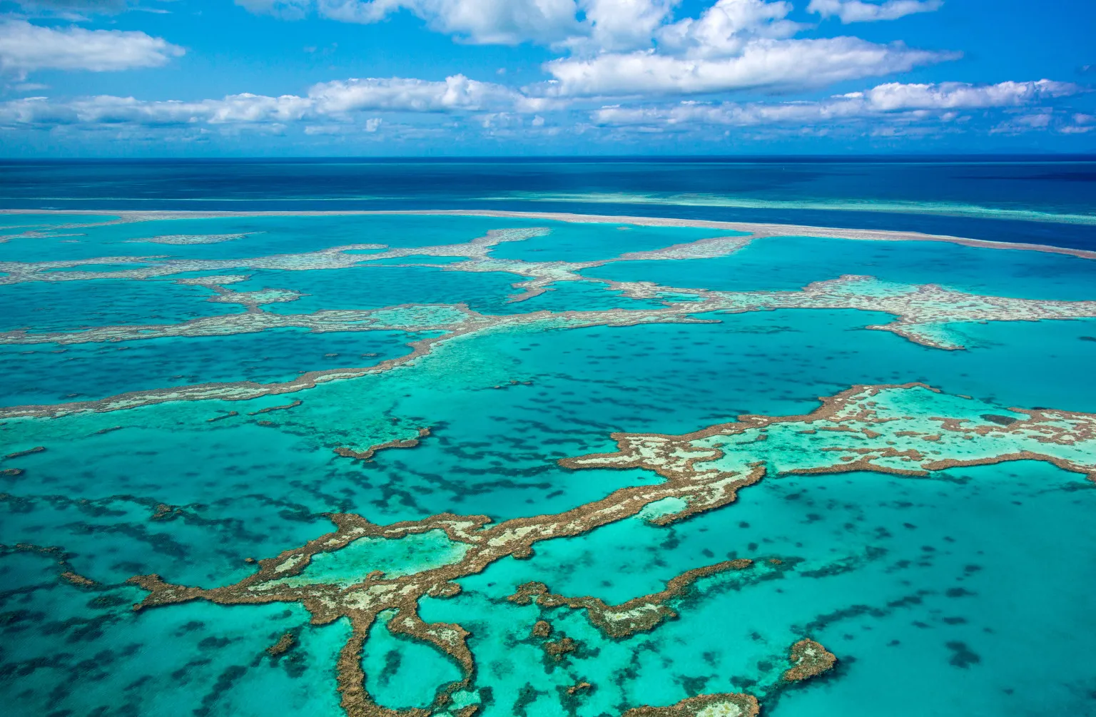 Snorkle at Great Barrier Reef Marine Park | Alloggio