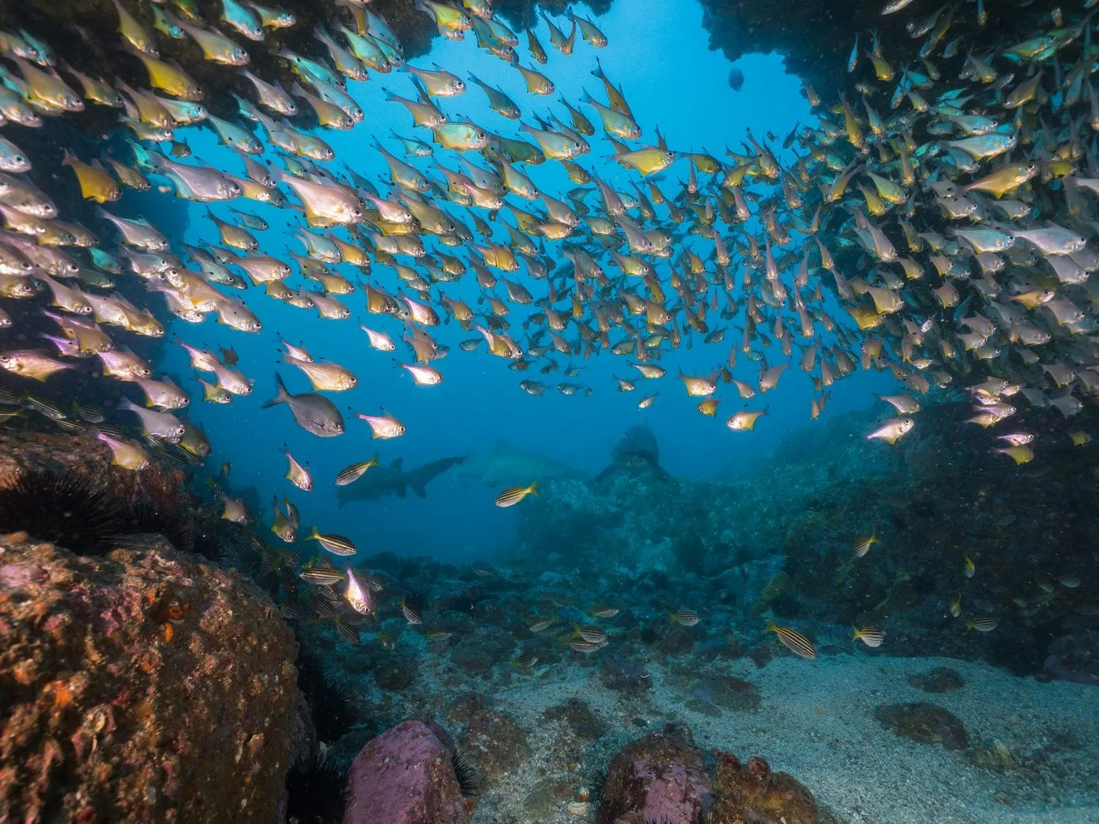 Explore Solitary Islands Marine Park - Alloggio