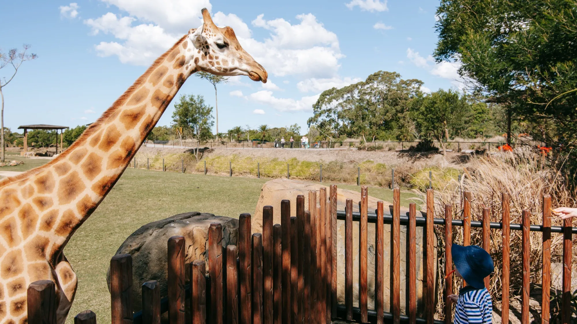Visit Australia Zoo - Alloggio