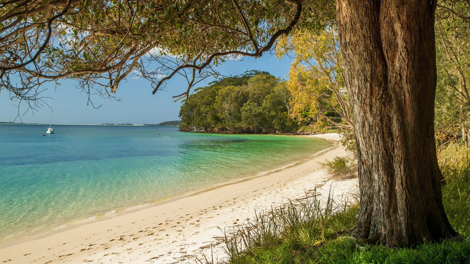 Visit Nelson Bay - Alloggio