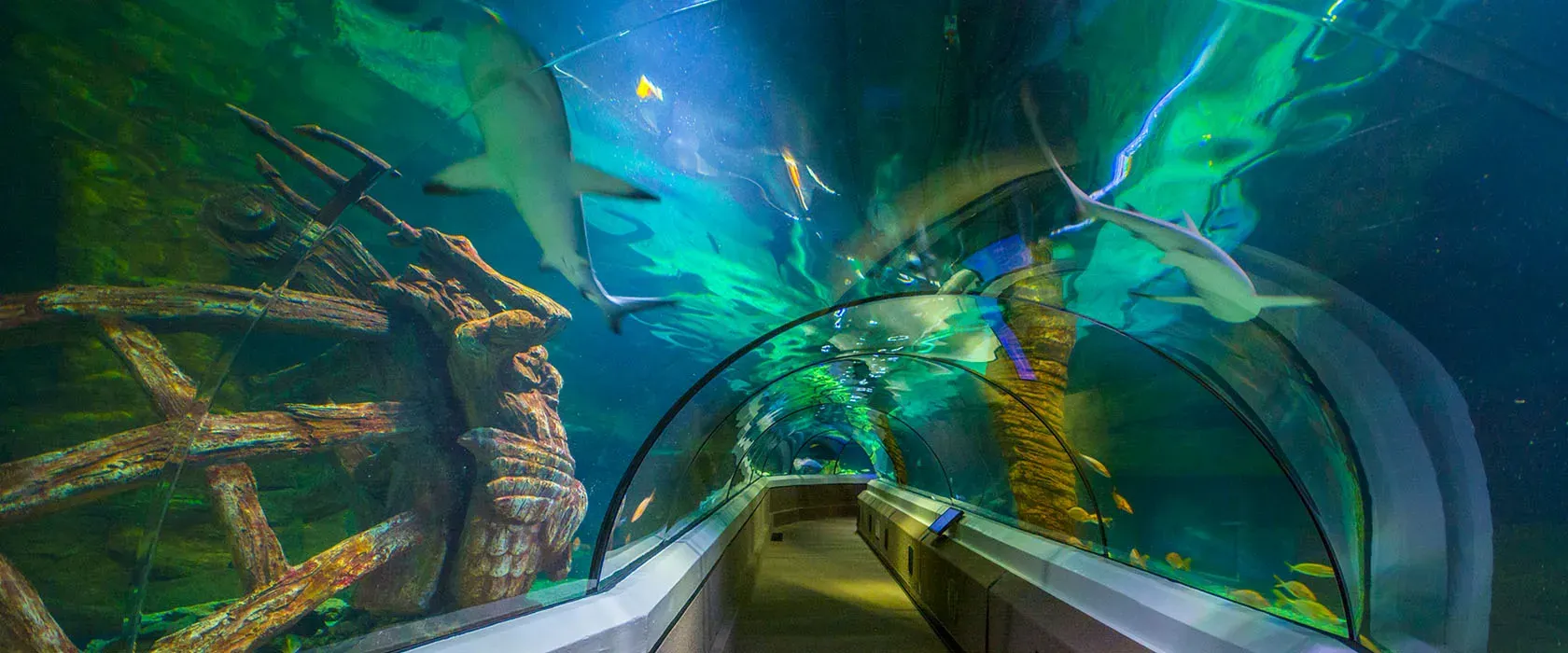 Visit SEA Life Sunshine - Alloggio